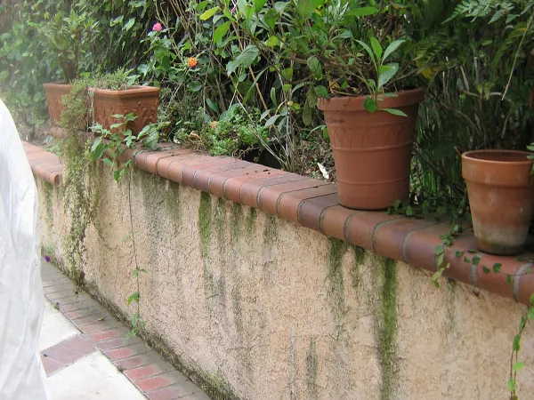 Pressure washing a wood fence