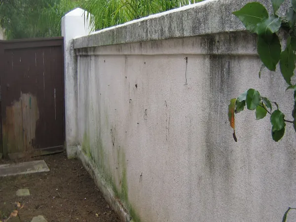 Pressure washing a wood fence