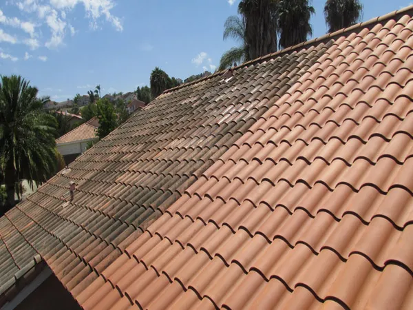 Tile roof cleaning service