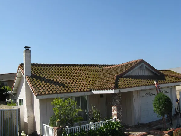 Careful roof cleaning service