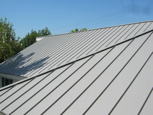 Professional roof cleaning equipment