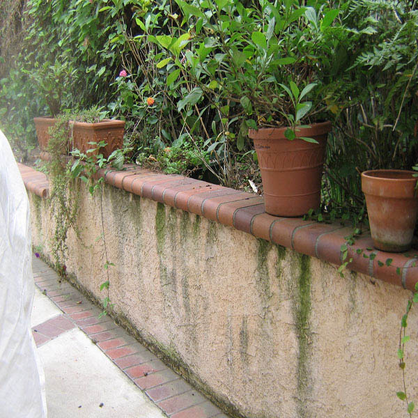 Fence Wash- Pressure Washing Fence