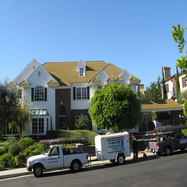 Roof Cleaning Before & After