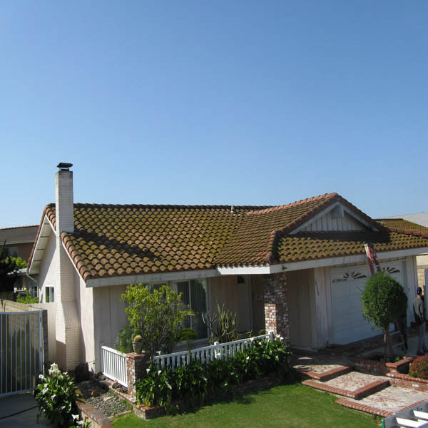 Roof Cleaning Before & After