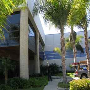 Window Cleaning Los Angeles